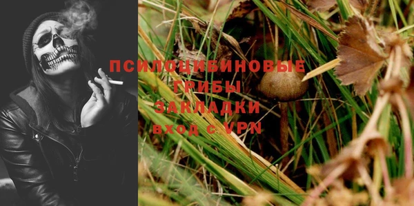 трава Верея